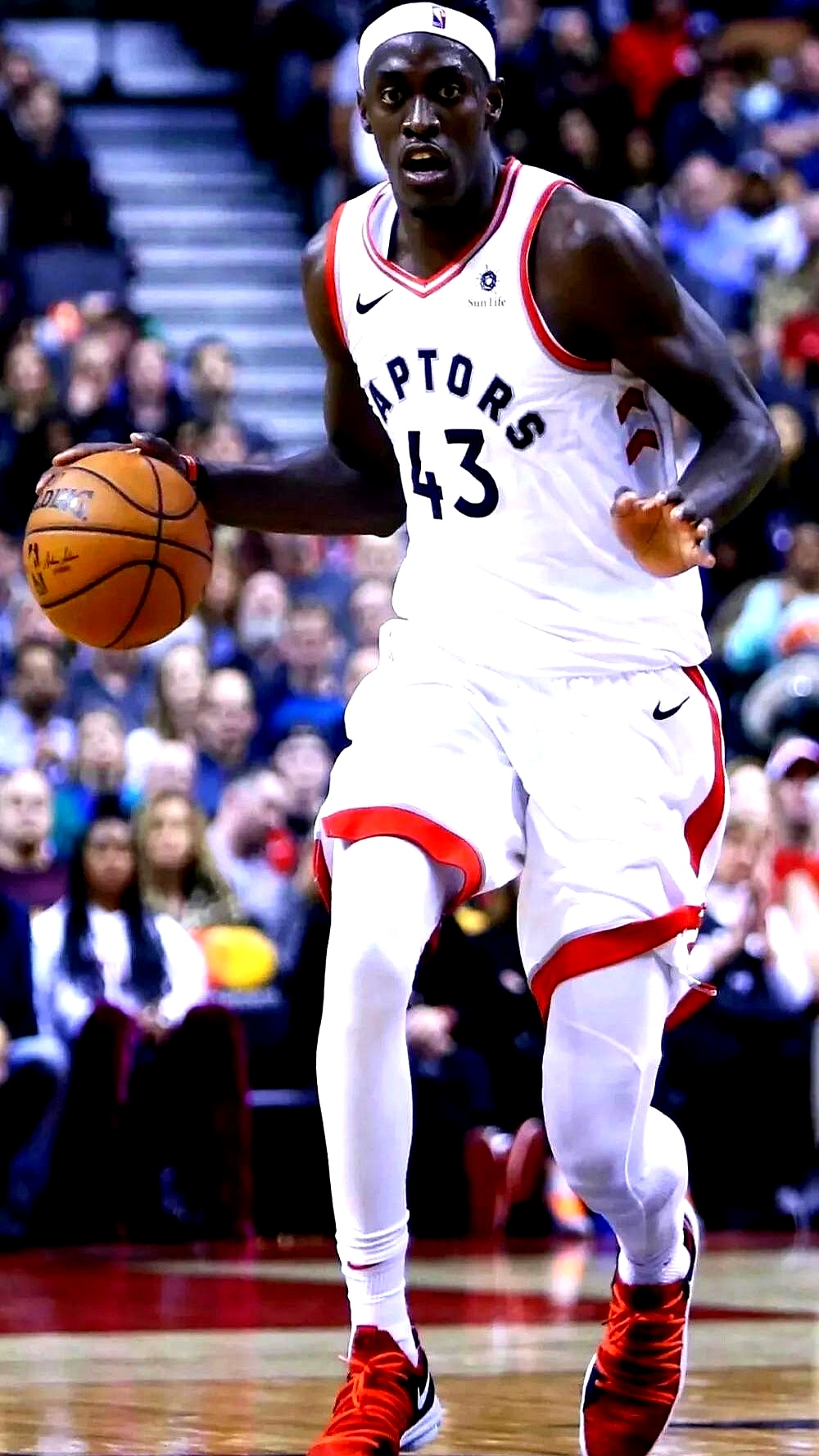 关于多伦多猛龙清晨篮板制胜，志在NBA季后赛名次提升，态度坚定，年轻球员得到机会的信息